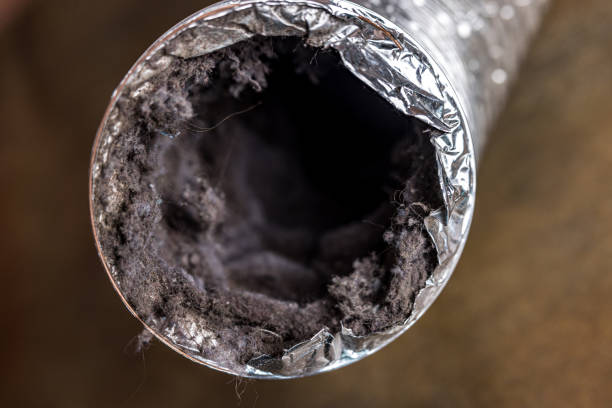 Best Emergency Air Duct Cleaning  in Dayton, IN